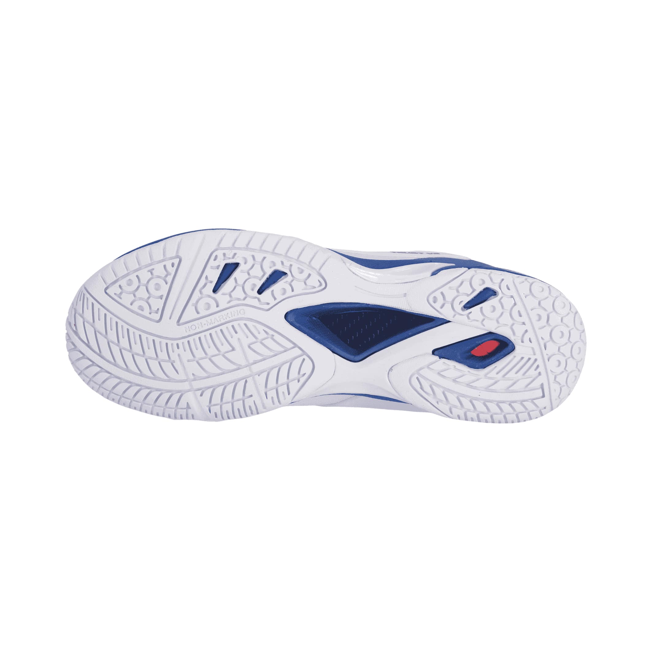 FZ FORZA Trust V3 W 2220 Marina - Badmintonschuh 37,5